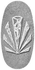 DASOV 602 SL SH SL Silver Sunburst Shimmer Silver Background